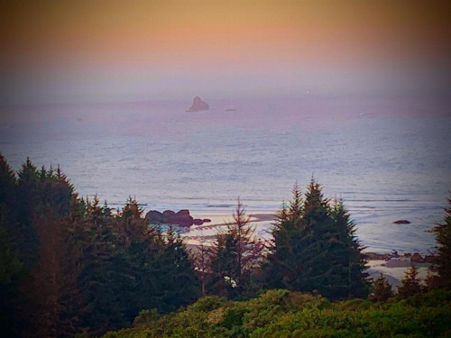 Whaleshead Beach Resort image 27