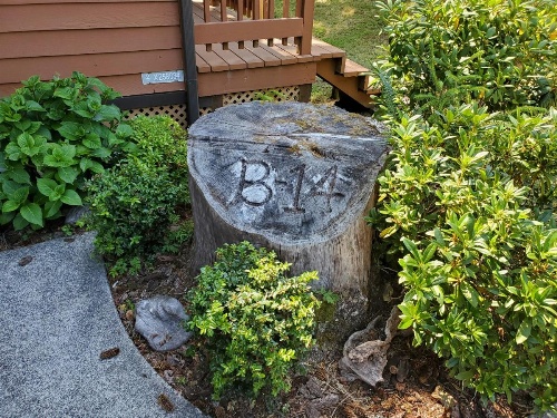 Whaleshead Beach Resort image 28